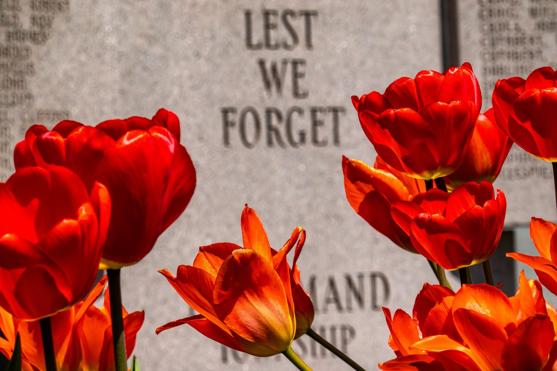 Veterans