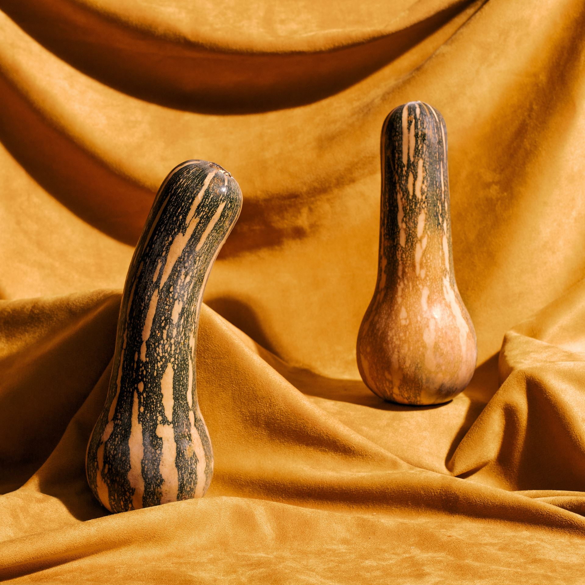 Prostate